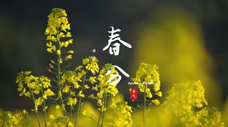 春水初生，春林初盛